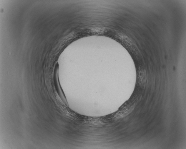 X0000080721249200701051025