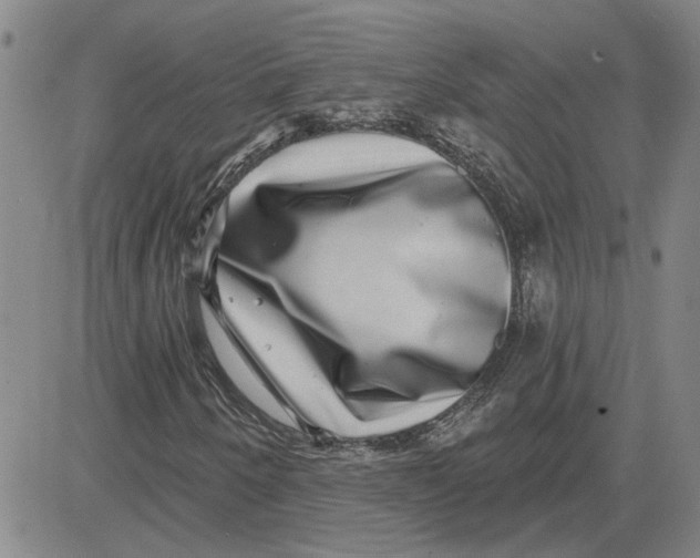 X0000080721250200701051025