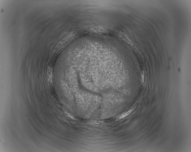 X0000080721251200701051025