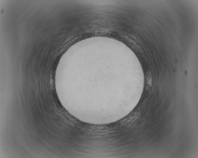 X0000080721252200701051025