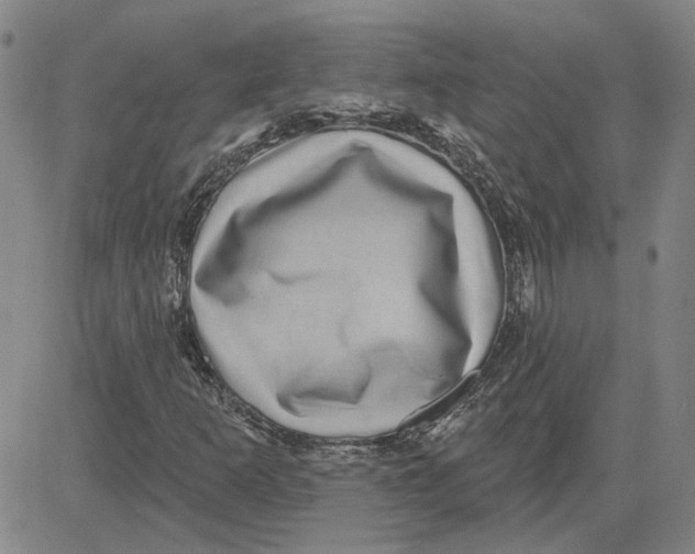 X0000080721253200701051025