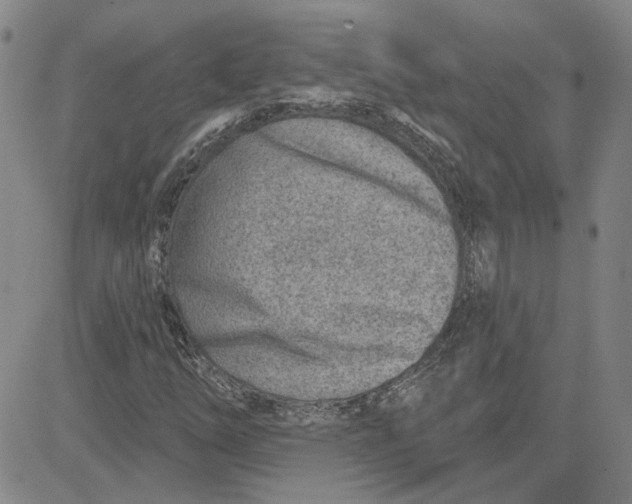 X0000080721254200701051025