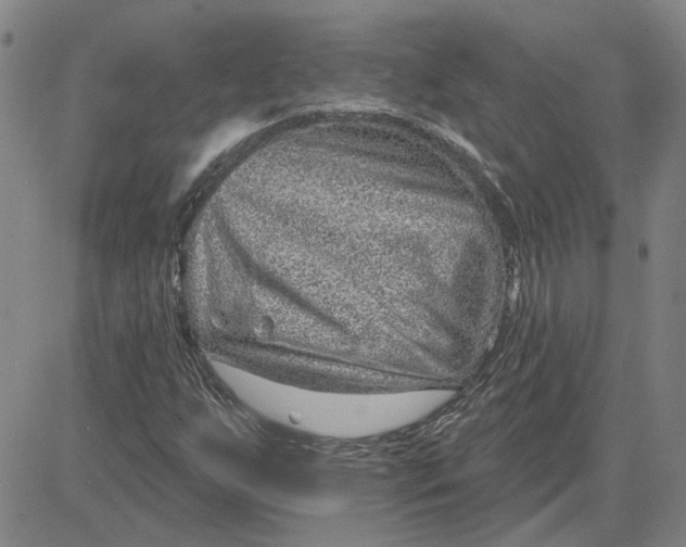 X0000080721255200701051025