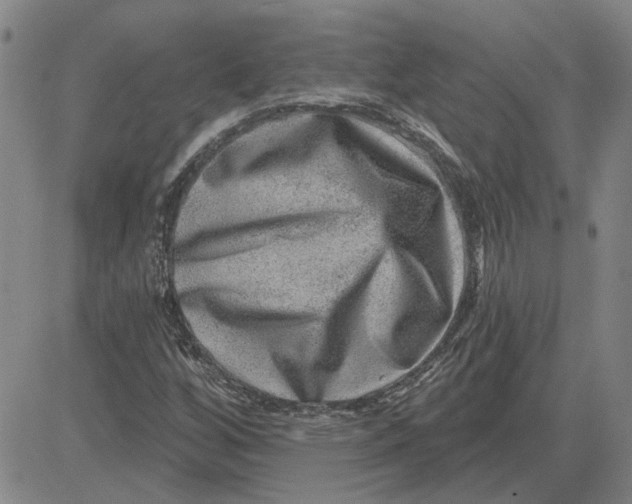 X0000080721256200701051025