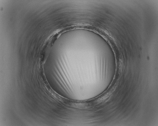 X0000080721257200701051025