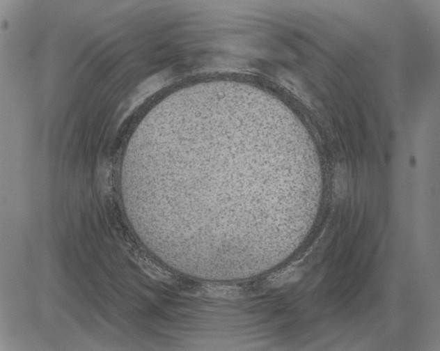 X0000080721258200701051025