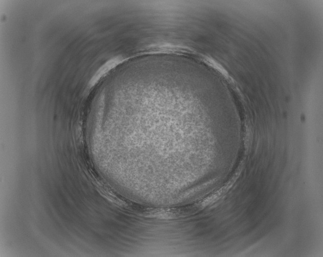 X0000080721259200701051025