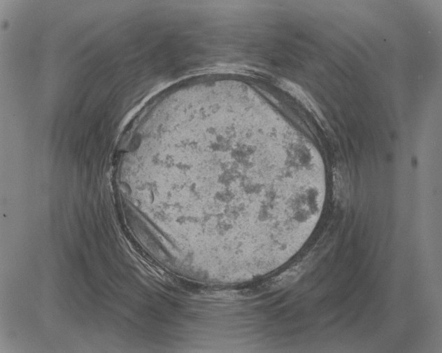 X0000080721260200701051025