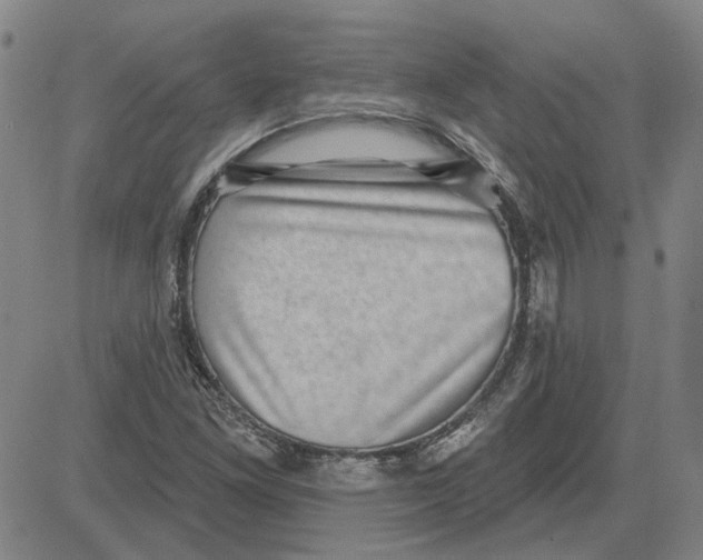 X0000080721261200701051025