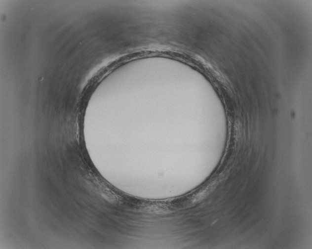 X0000080721262200701051025