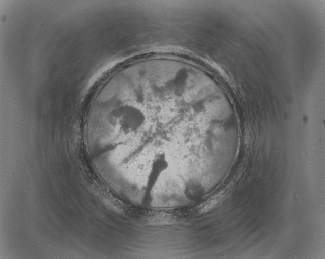 X0000080721263200701051025