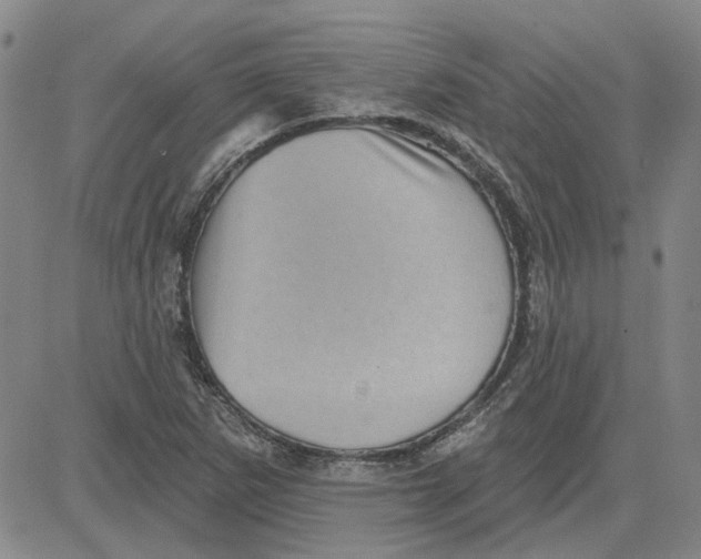 X0000080721265200701051025