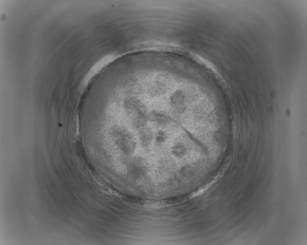 X0000080721267200701051025