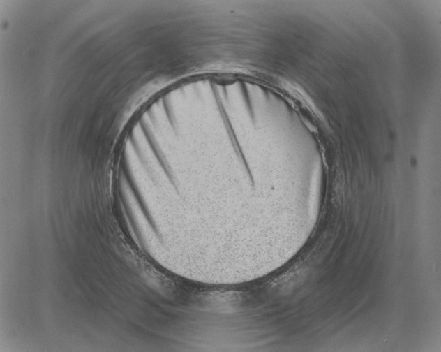 X0000080721268200701051025