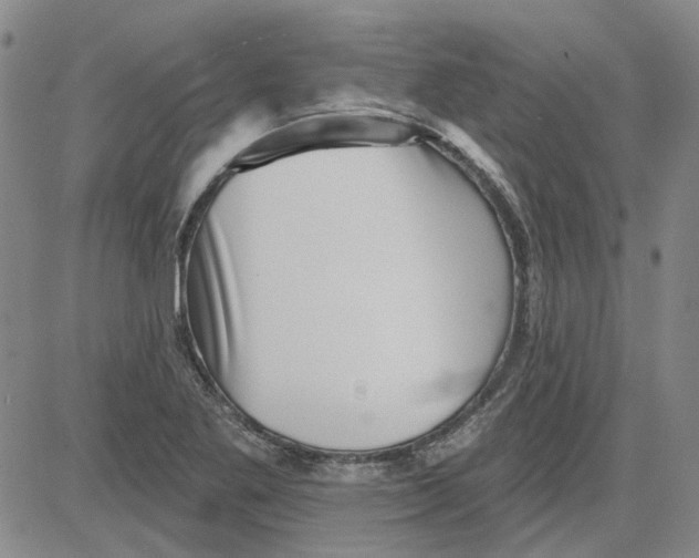 X0000080721269200701051025