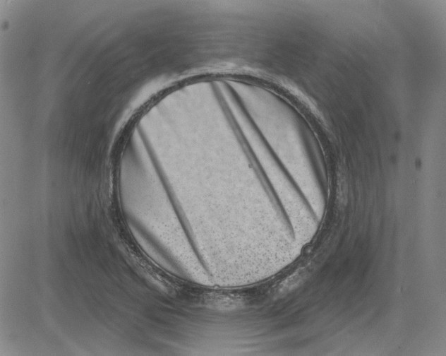 X0000080721270200701051025