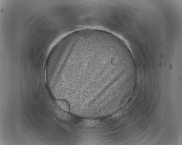 X0000080721271200701051025