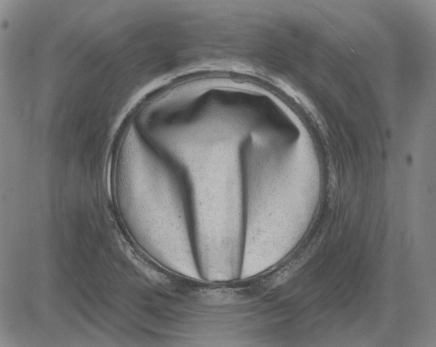 X0000080721272200701051025