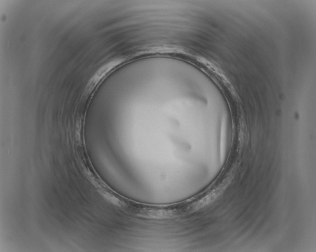 X0000080721273200701051025