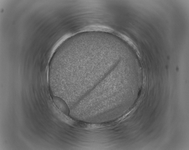 X0000080721275200701051025