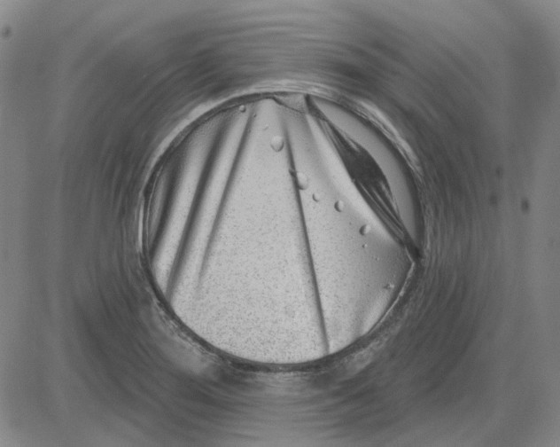 X0000080721276200701051025