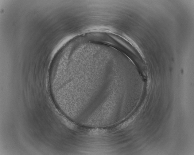 X0000080721277200701051025