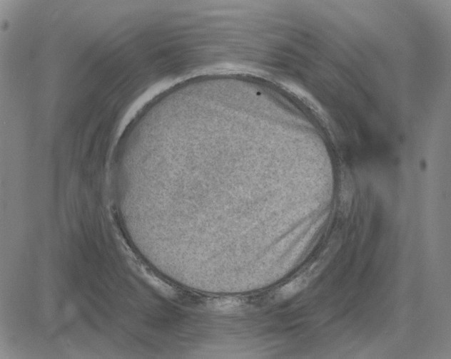 X0000080721278200701051025