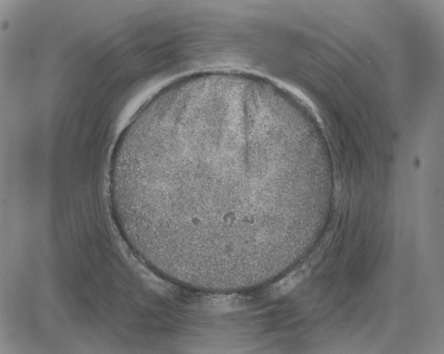 X0000080721279200701051025