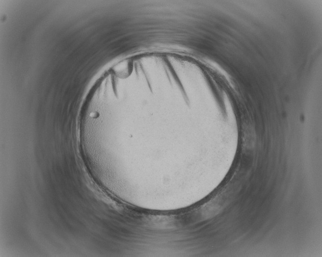 X0000080721280200701051025