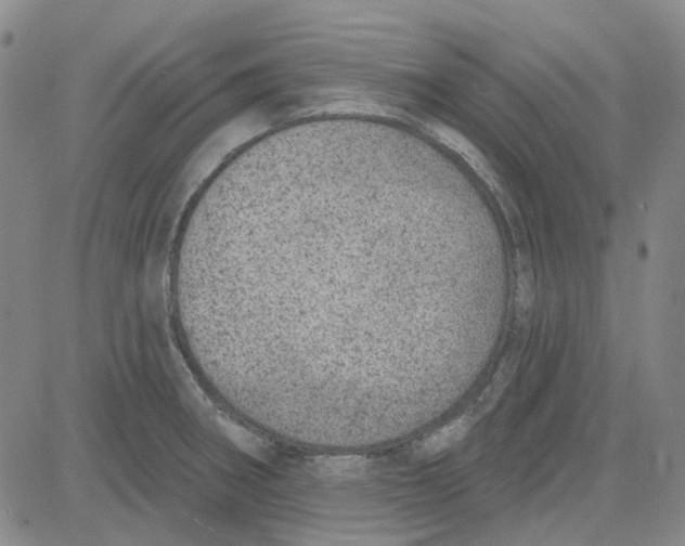 X0000080721282200701051025