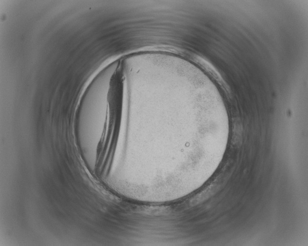 X0000080721284200701051025