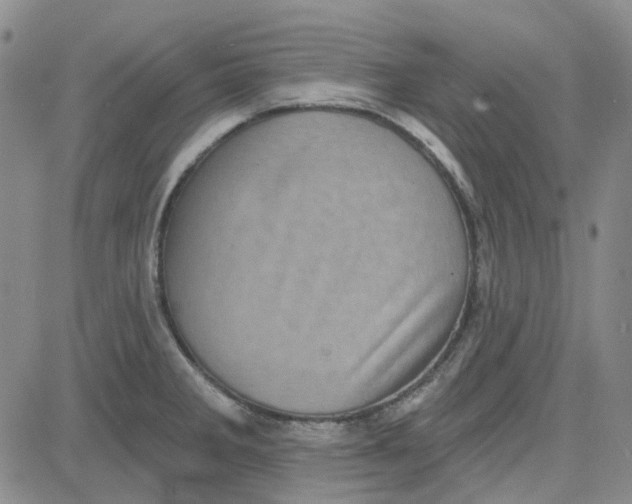 X0000080721285200701051025