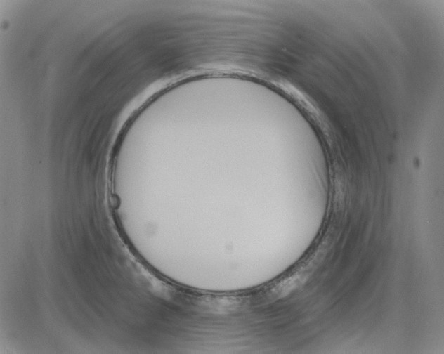 X0000080721286200701051025