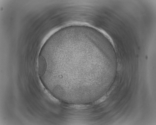 X0000080721287200701051025