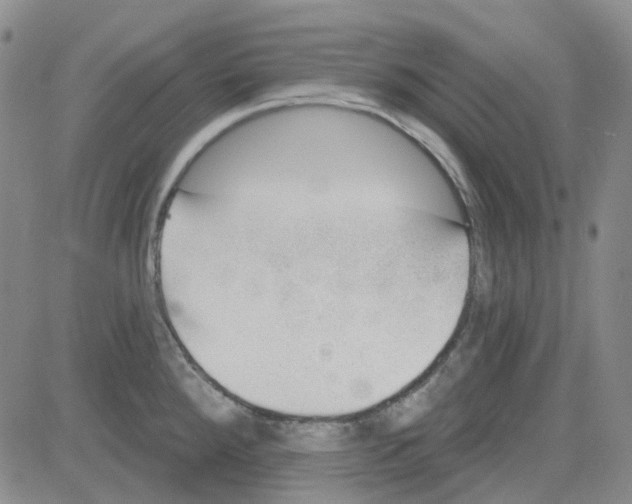 X0000080721288200701051025