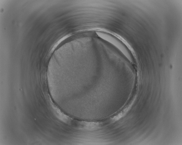 X0000080721289200701051025