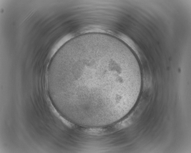 X0000080721290200701051025