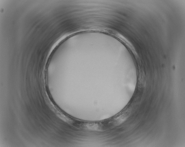 X0000080721291200701051025