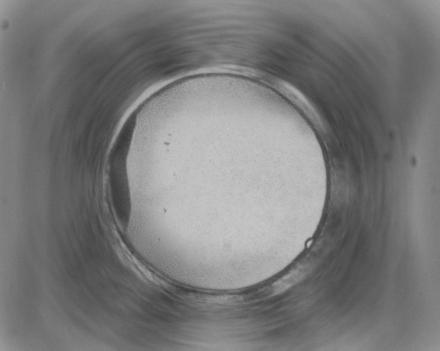 X0000080721292200701051025