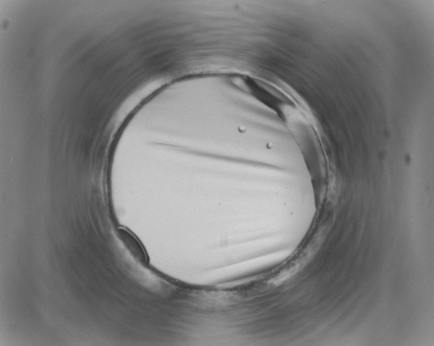 X0000080721293200701051025