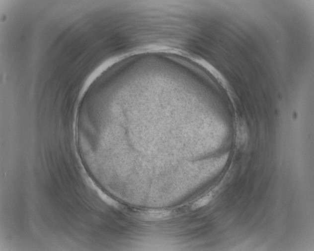 X0000080721294200701051025