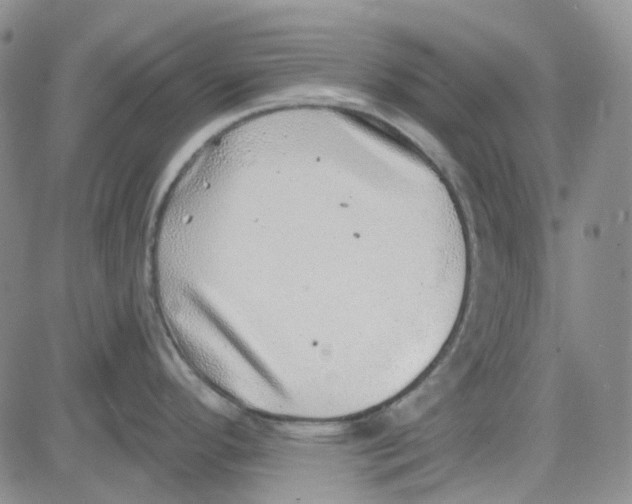 X0000080721296200701051025