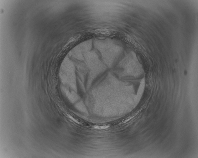 X0000080721297200701051024