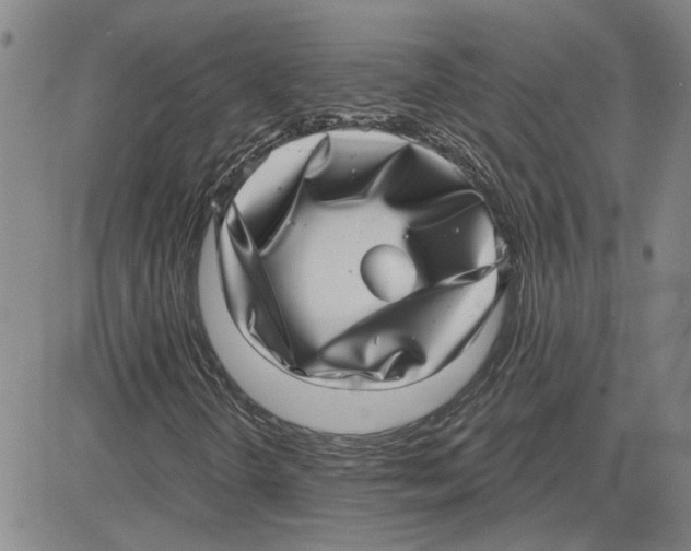 X0000080721298200701051024