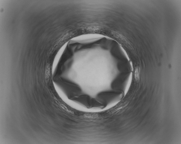 X0000080721299200701051024