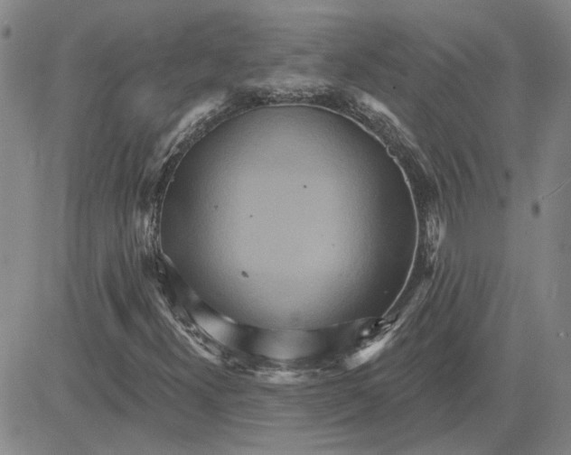 X0000080721300200701051024