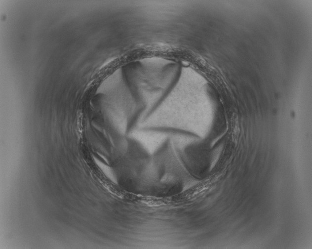 X0000080721301200701051024