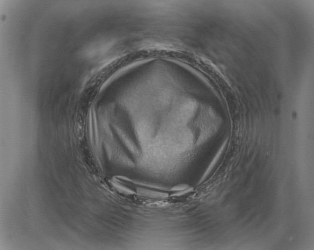 X0000080721303200701051024