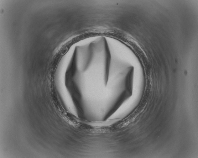 X0000080721304200701051024