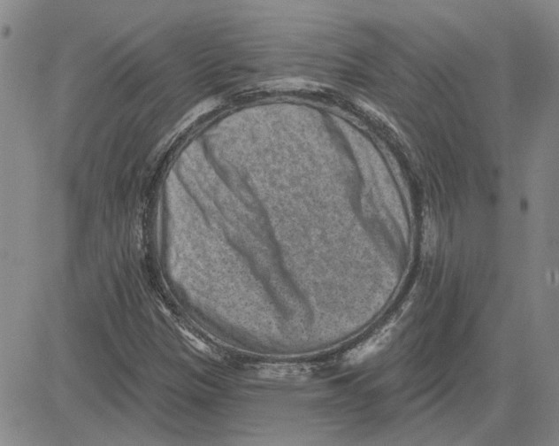 X0000080721305200701051024